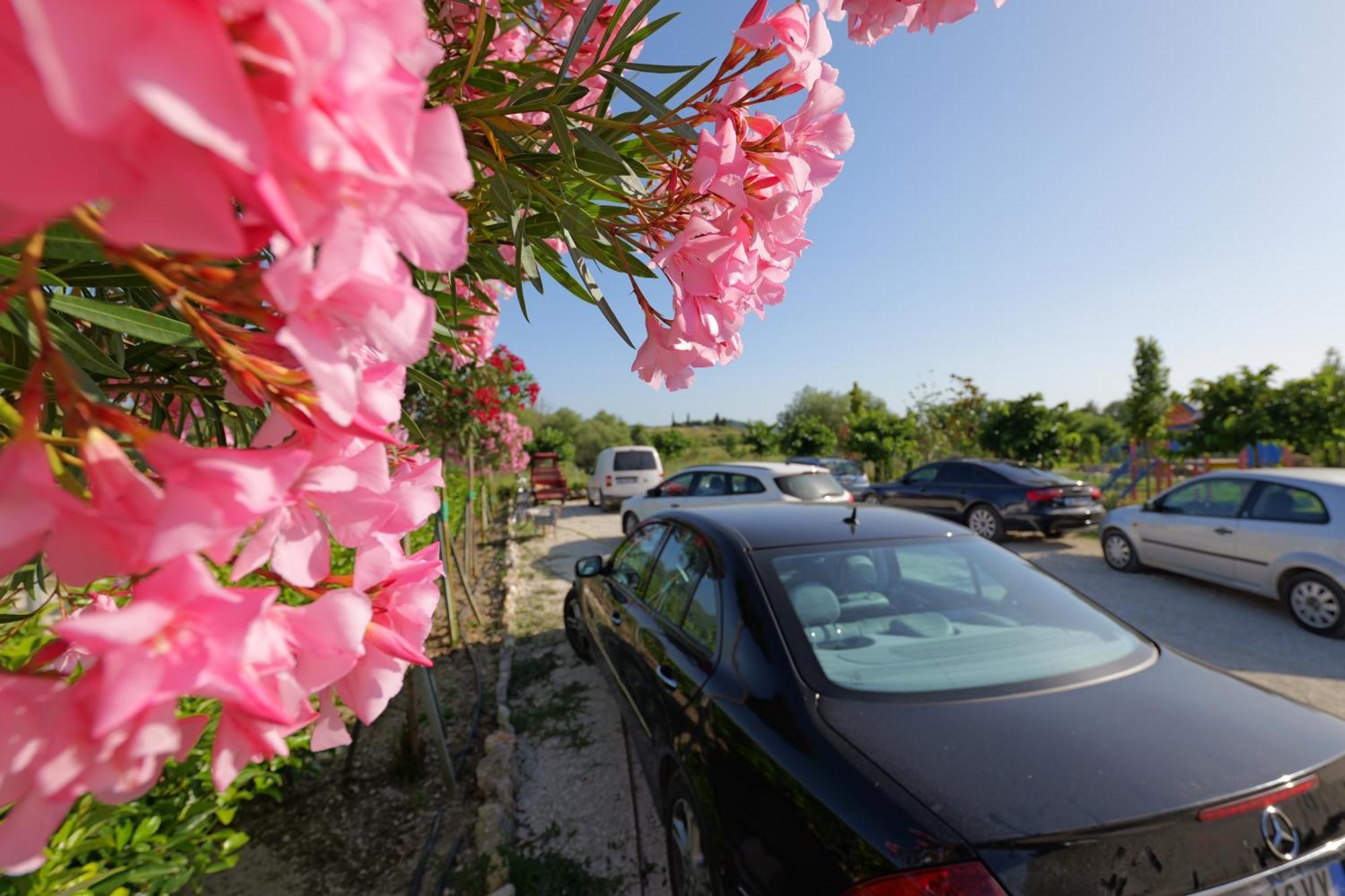 Mesopotam Agrotourism Resort Saranda Dış mekan fotoğraf